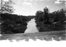 Crostolo 017 - Tela 50x70