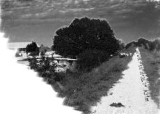 Crostolo 041 - Tela 50x70